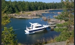 Bayliner 288 Discovery-kuva-3